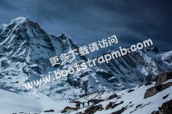 ⊞ Portfolio - 旺财282
